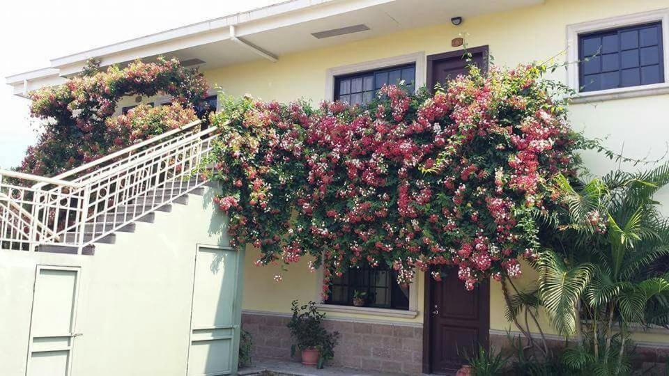 Apartamento Corporativo Pena Blanca Exterior foto